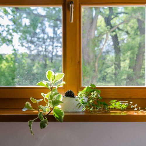 Descarbonizar el planeta consumiendo más madera para la fabricación de ventanas y fachadas