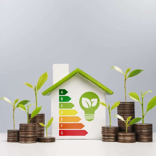 Eficiencia energética: de la retórica a la acción