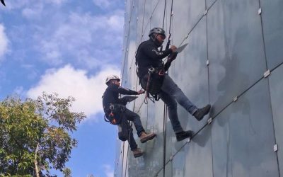 entorno-2512-imcoba-1