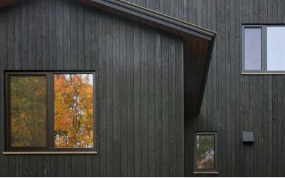 entorno-2602-simpleyfacil-yakisugi-1