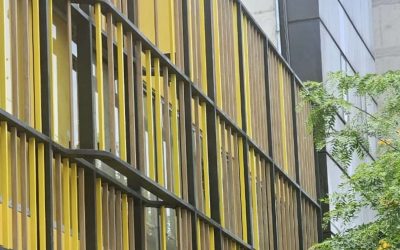 ser-2601-simpleyfacil-bembos-2